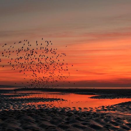 Hoekje Aan Zee Катвейк-ан-Зе Экстерьер фото