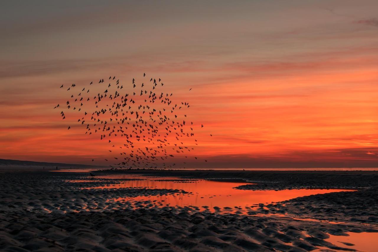 Hoekje Aan Zee Катвейк-ан-Зе Экстерьер фото